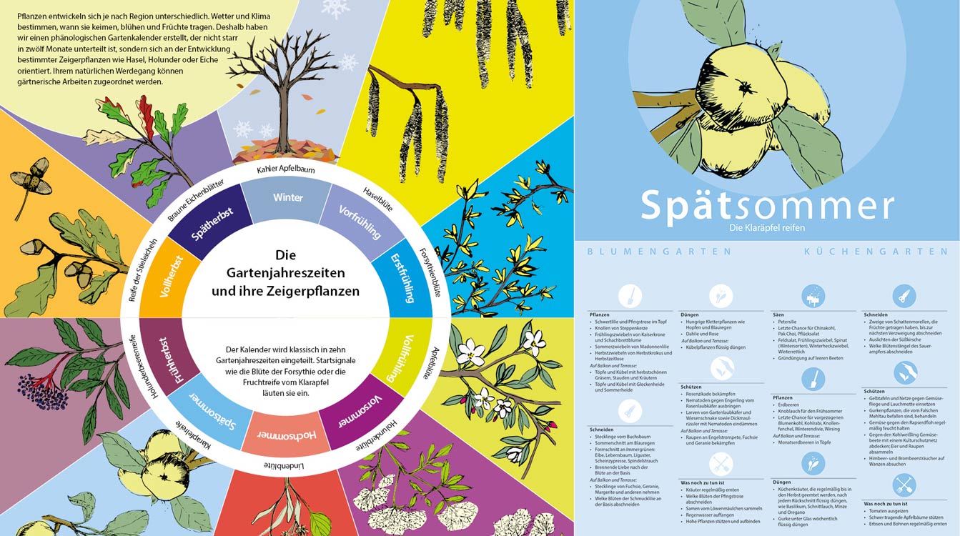 Das Gartenjahr kann man in 10 phänologischer Gartenjahreszeiten einteilen.
